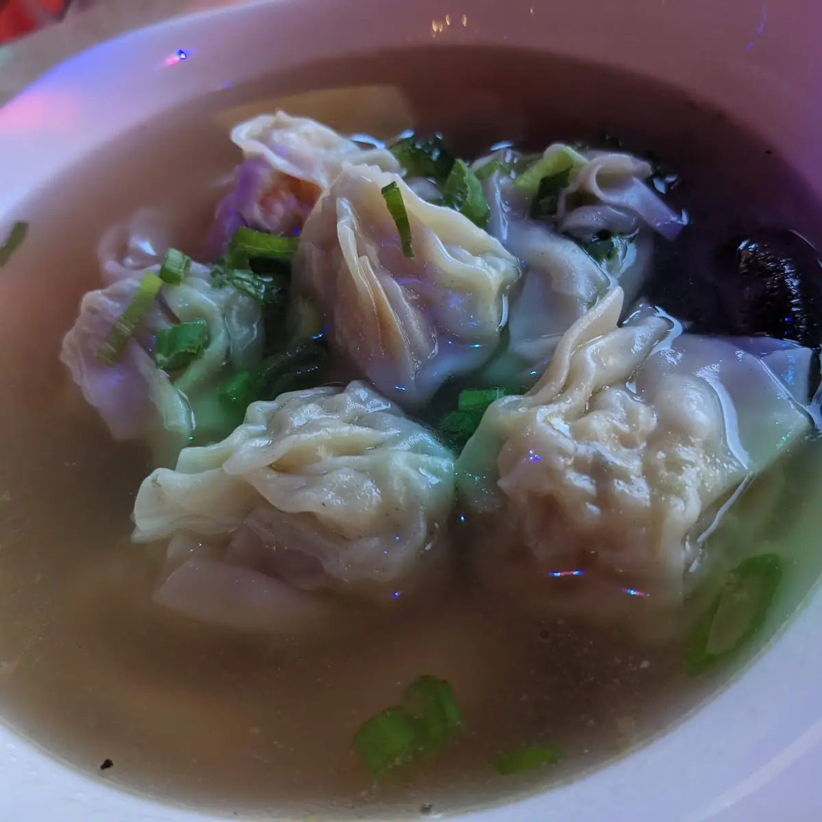 Wor Won Ton Soup 窩雲吞湯
